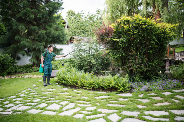 Best Best Pest Control Companies  in Mastic Beach, NY