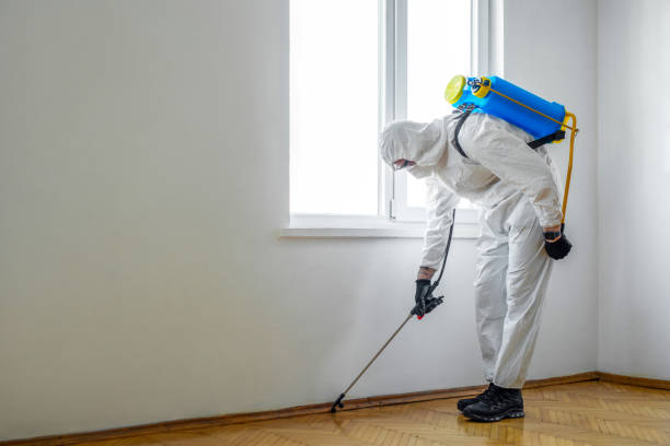Best Commercial Pest Control Services  in Mastic Beach, NY
